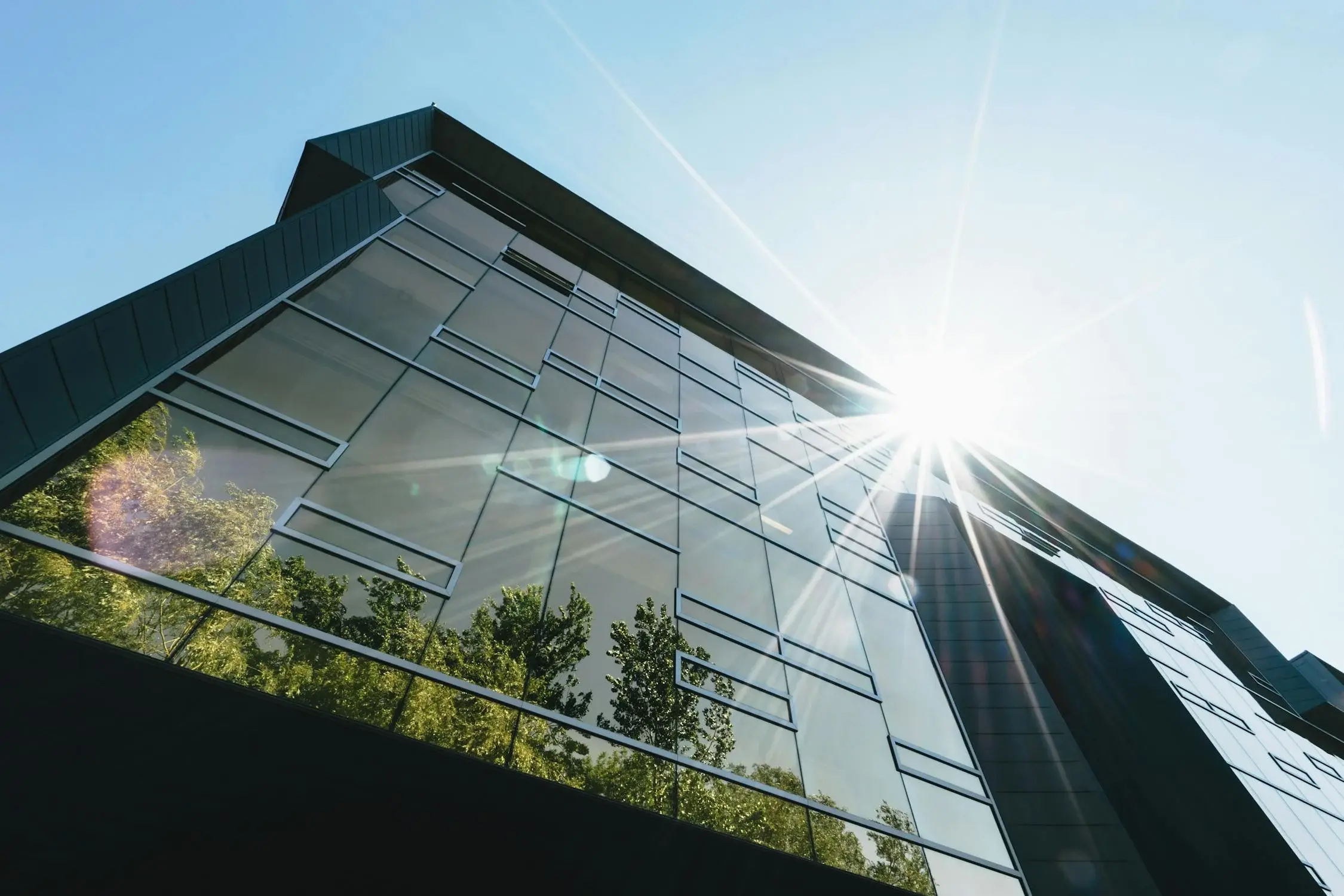Professional Window Cleaning in Calgary