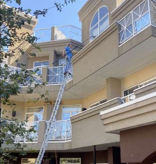 Home with sparkling clean windows